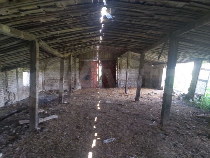 Участок 26,1 сот. (СНТ, ДНП)