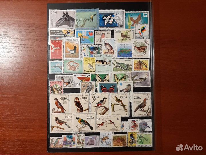 Почтовые марки Фауна