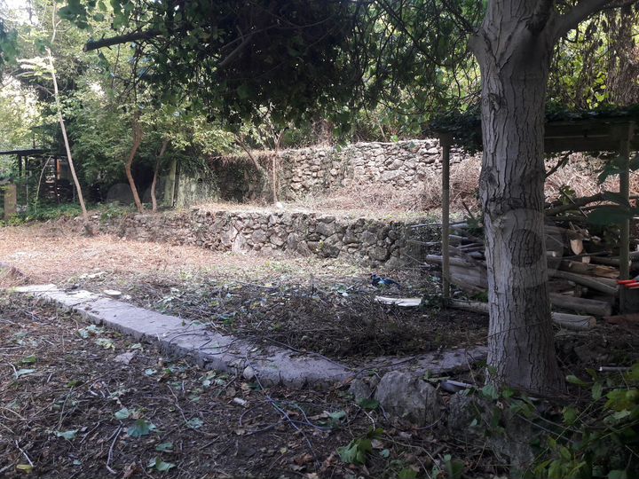 Участок 8,6 сот. (СНТ, ДНП)