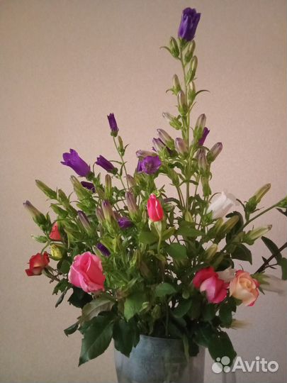 Розы на срез