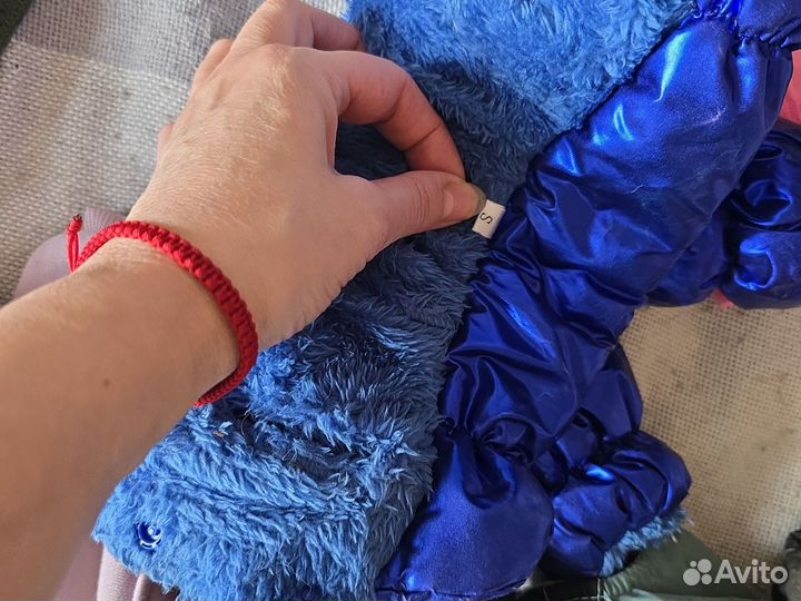 Вещи на мелкую собачку