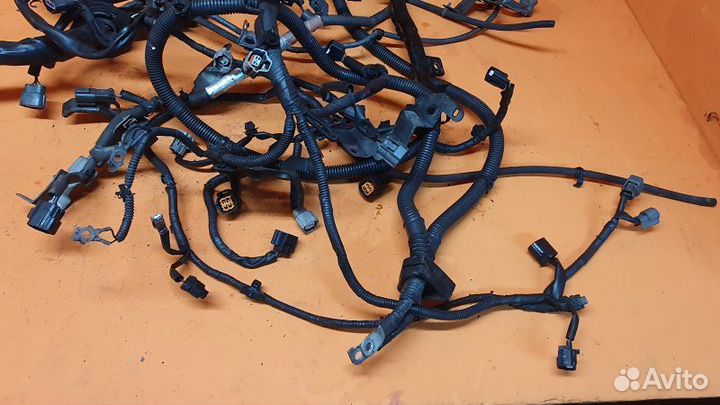 Проводка моторная Infiniti Fx35 S51 3.5 2009