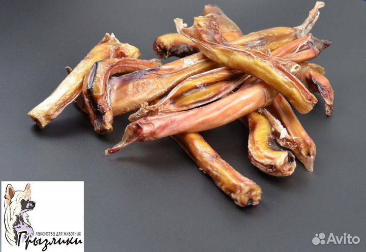 Корм для собак