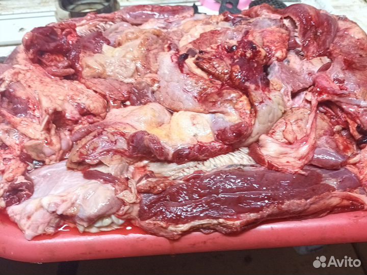 Мясные обрезки для собак