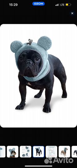 Шапка для собачки