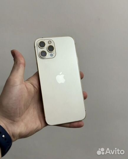 iPhone 12 Pro Max, 256 ГБ