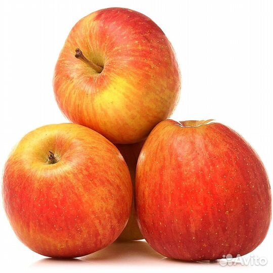 Продам яблоки