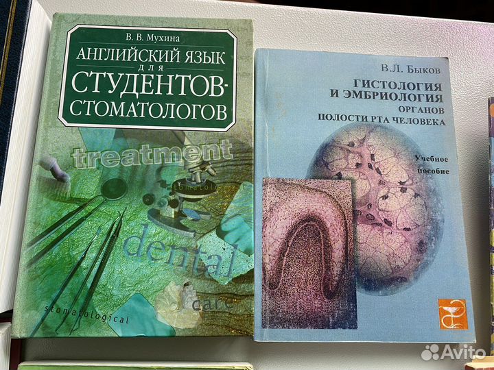 Стоматология для студентов терапевтическая ортопед