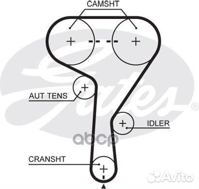 Ремень грм opel 1.6-1.8 04- (146x24) 5603XS Gates