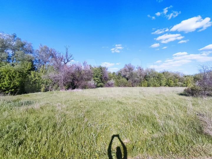 Участок 60 сот. (СНТ, ДНП)