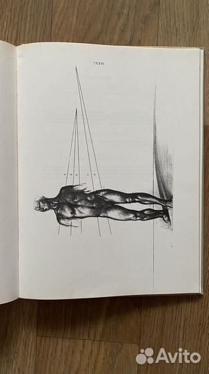 Книга Енё Барчаи 