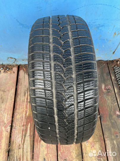 Tigar Winter 1 195/50 R15