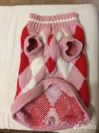 Одежда для животных