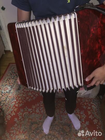 Французский баян