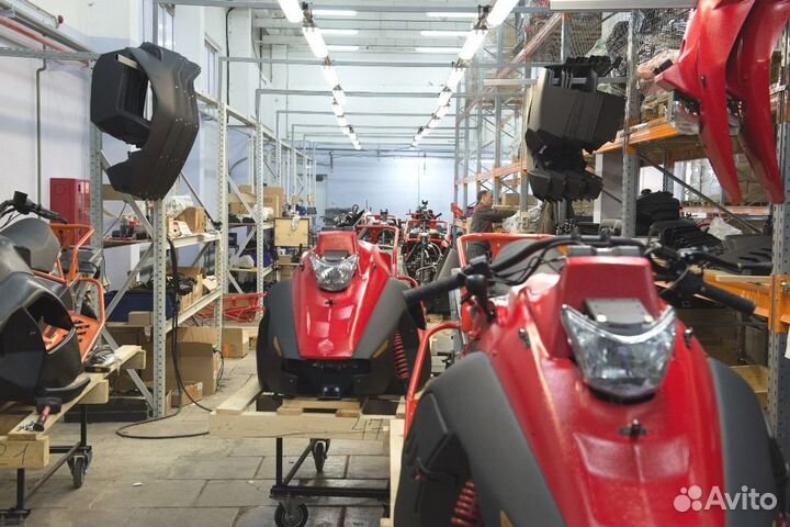 Снегоход irbis SF200L 23/24