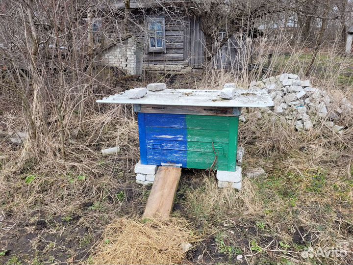 Пчелы и улья