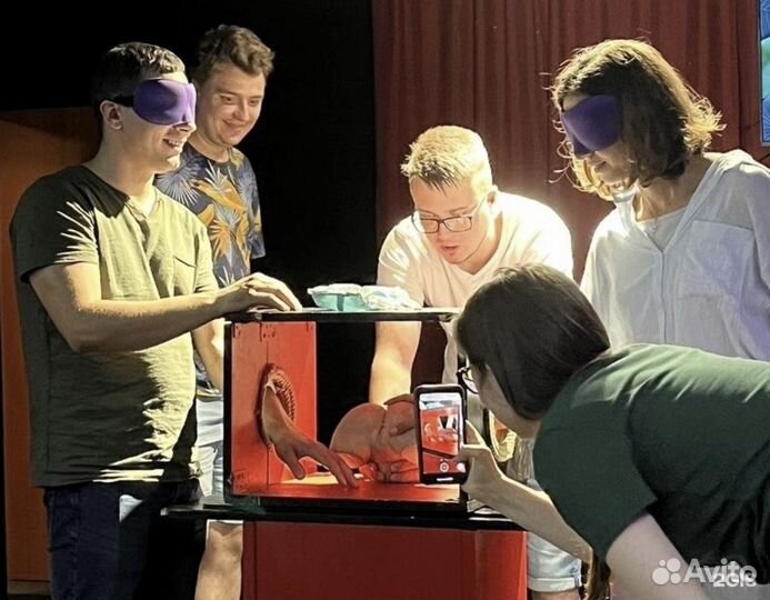 Организация мероприятий / праздников