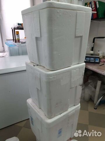 Термобокс из пенопласта