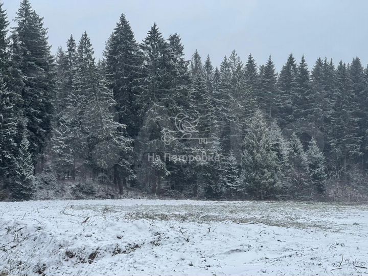 Участок 13,2 сот. (ИЖС)