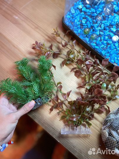 Аквариум для рыбок