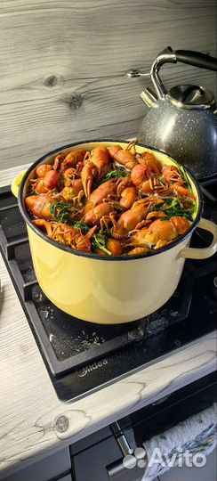 Живые раки с доставкой