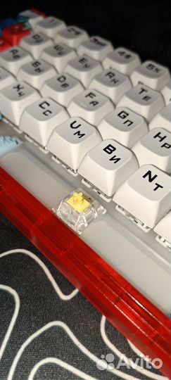 Ardor gaming patron