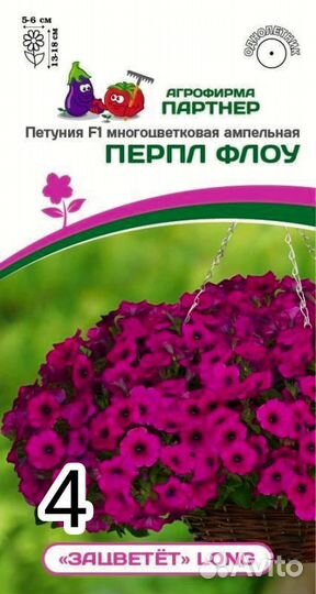 Вегетативные черенки петуньи