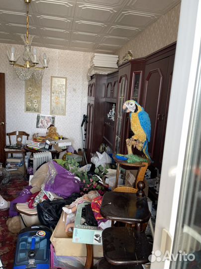 Организатор пространства, переезд, расхламление