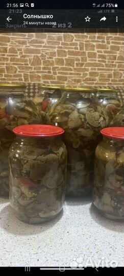 Продукты питания, вёшенка