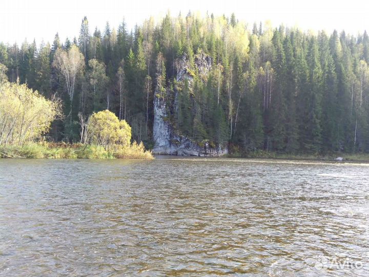 Охота и рыбалка