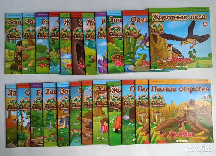 Книги для первого чтения: животные и растения леса