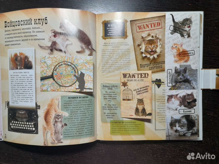 Книга про кошек