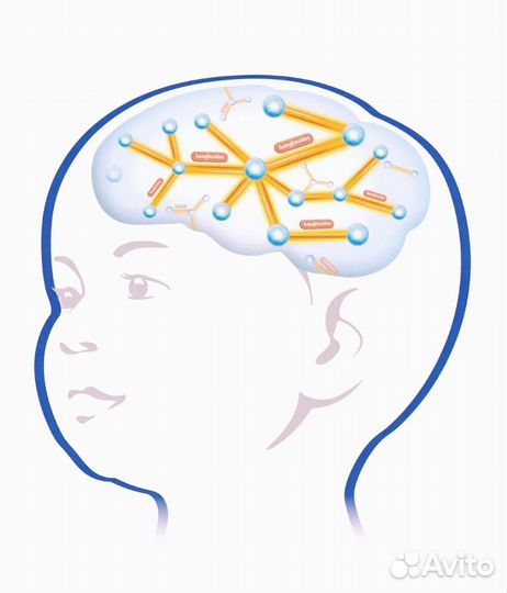 Логопед, нейродефектолог, нейропсихолог