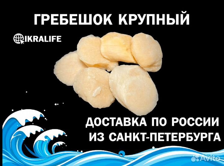 Гребешок крупный для ИП