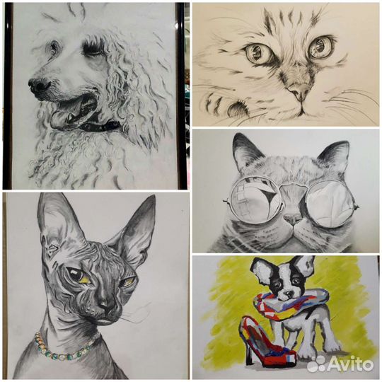 Портрет питомца