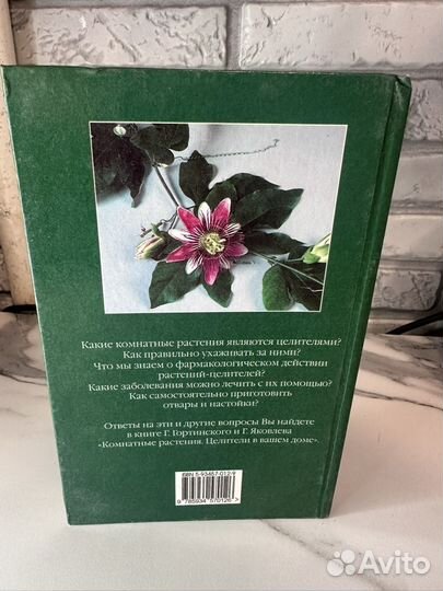 Комнатные растения целители в вашем доме