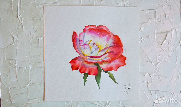 Картина акварелью много разные