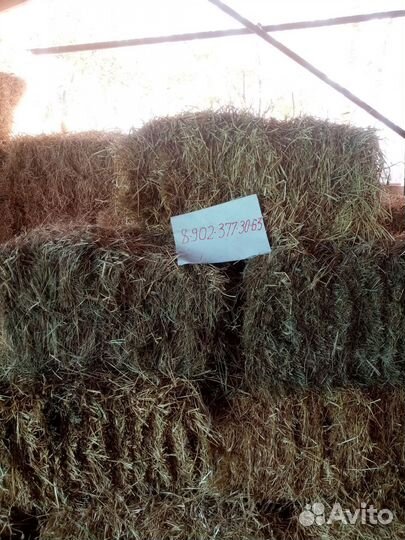 Сено солома в тюках