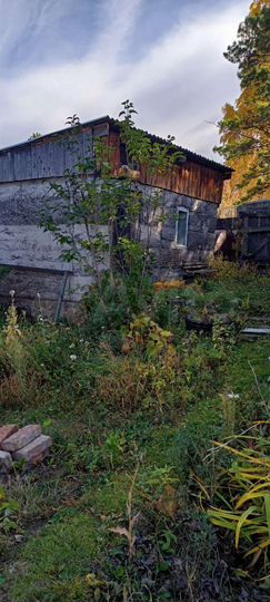 Дача 24 м² на участке 7,5 сот.