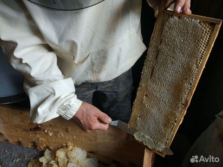 Мед натуральный