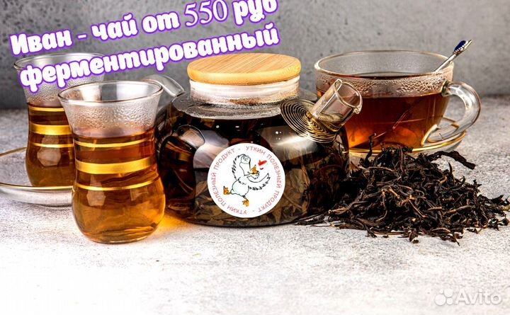 Иван чай