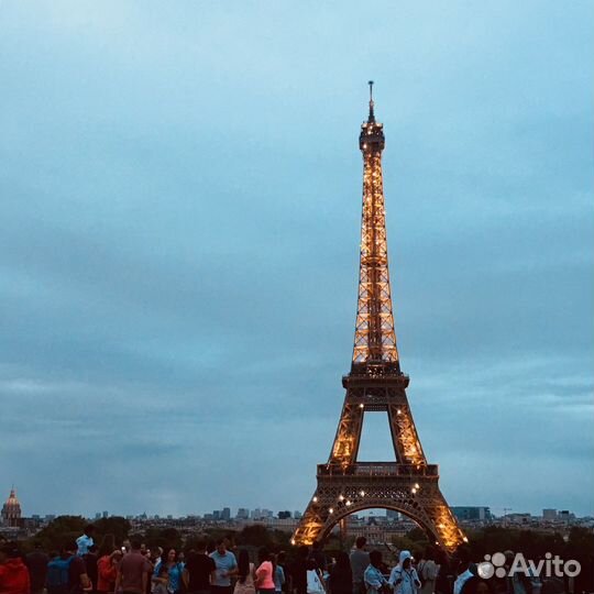 Репетитор по французскому языку онлайн