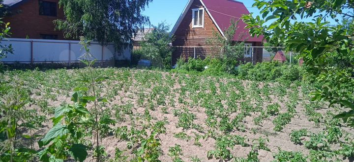 Участок 5 сот. (СНТ, ДНП)
