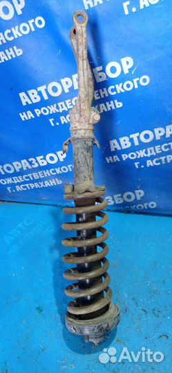 Передняя правая стойка амортизатора Honda City