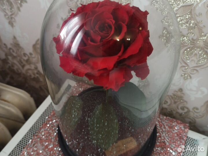 Роза в колбе