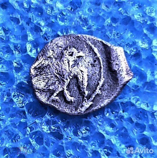 Чешуя полушка новгородская, Иван IV Грозный