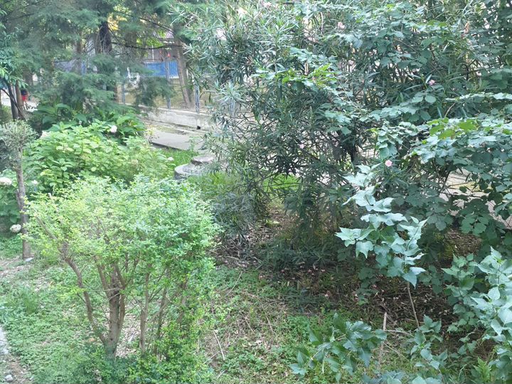 Комната 15 м² в 2-к., 1/5 эт.