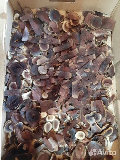 Слайсы рогов