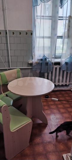 2-к. квартира, 57,3 м², 1/2 эт.