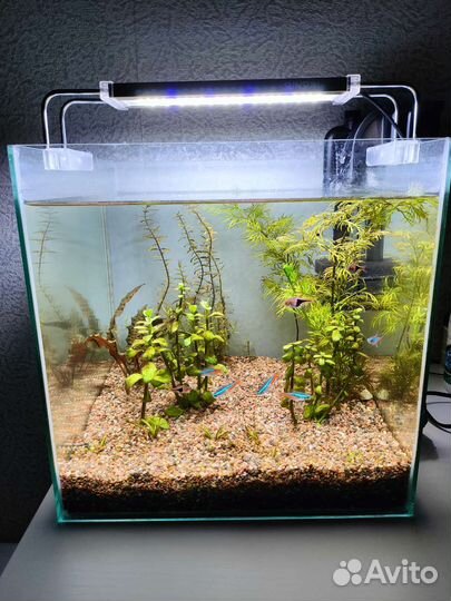 Аквариум